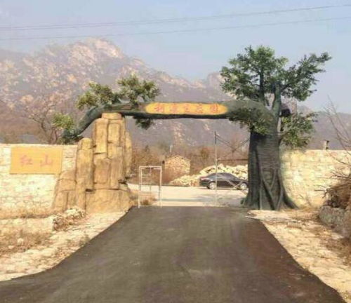 水泥塑樹(shù)廠家 景諾園林 在線咨詢 濮陽(yáng)水泥塑樹(shù)