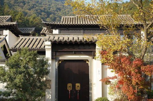 熱烈祝賀我司六個(gè)項(xiàng)目榮獲2019年度杭州市 優(yōu)秀園林綠化工程 金獎(jiǎng)